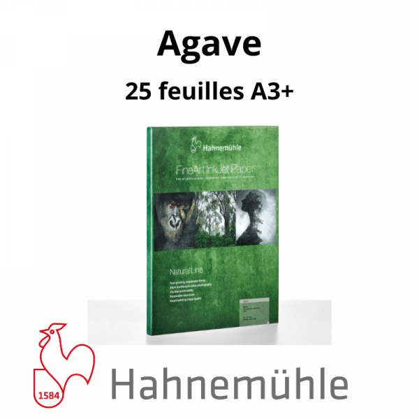 Papier Hahnemühle Agave – Image 6