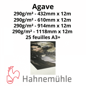 Papier Hahnemühle Agave
