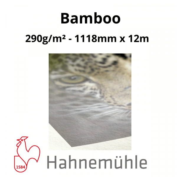 Papier Hahnemühle Bamboo – Image 5