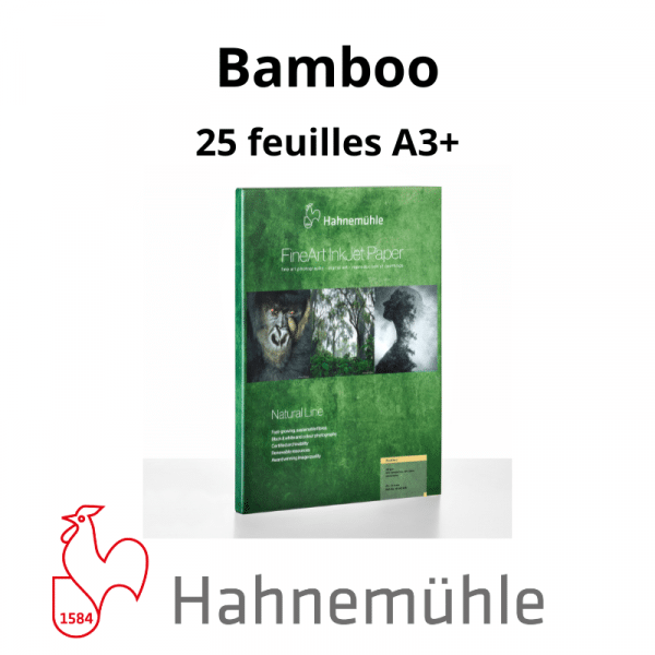 Papier Hahnemühle Bamboo – Image 6
