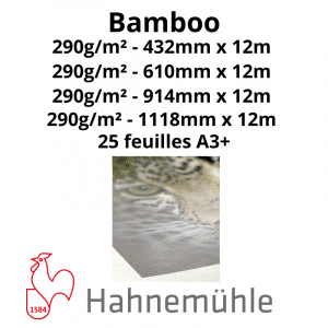 Papier Hahnemühle Bamboo