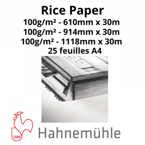 Papier Hahnemühle Rice Paper