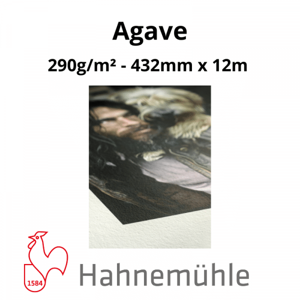 Papier Hahnemühle Agave – Image 2