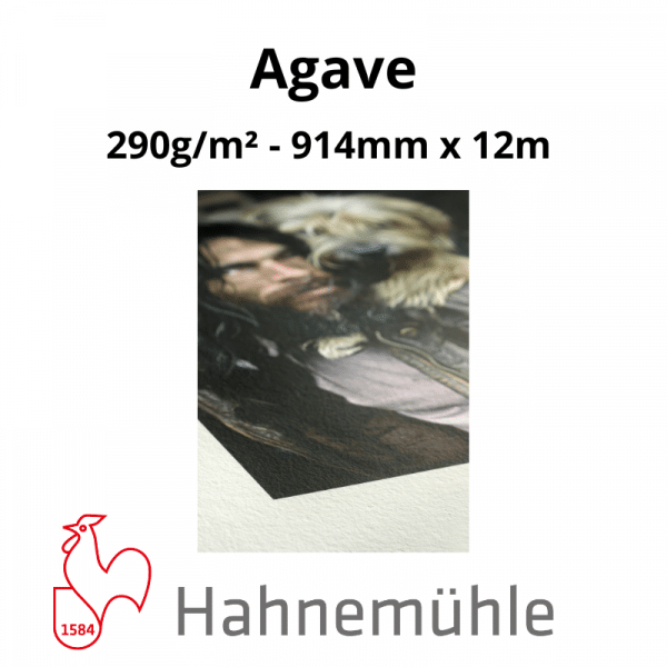 Papier Hahnemühle Agave – Image 4