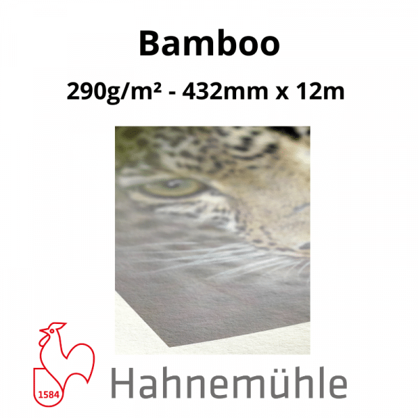 Papier Hahnemühle Bamboo – Image 2