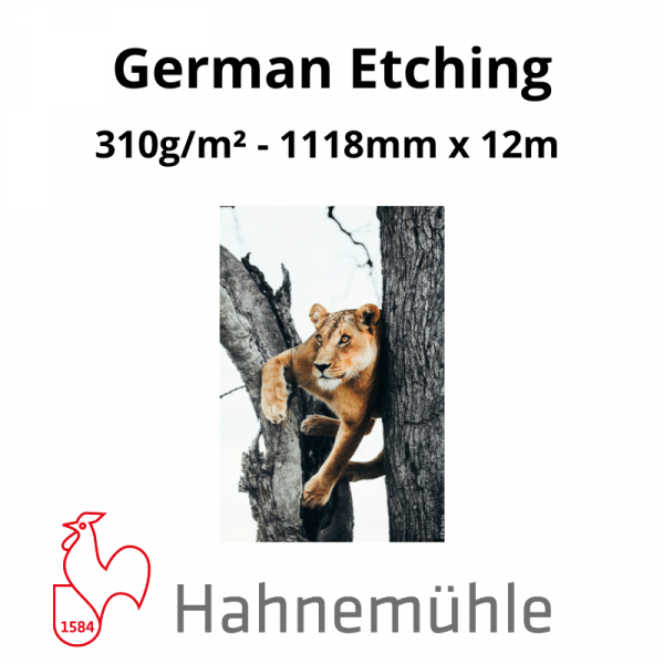 Papier Hahnemühle German Etching – Image 5