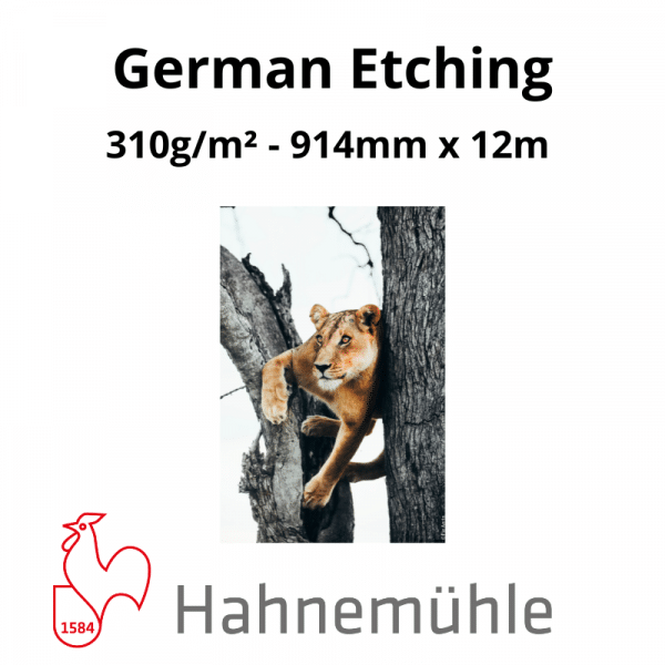 Papier Hahnemühle German Etching – Image 4