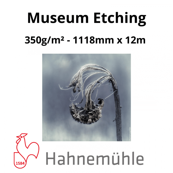 Papier Hahnemühle Museum Etching – Image 5