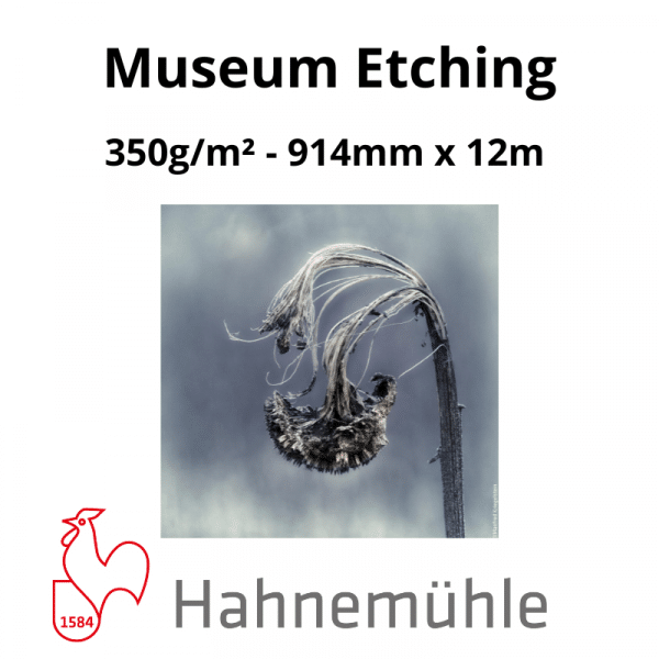 Papier Hahnemühle Museum Etching – Image 4