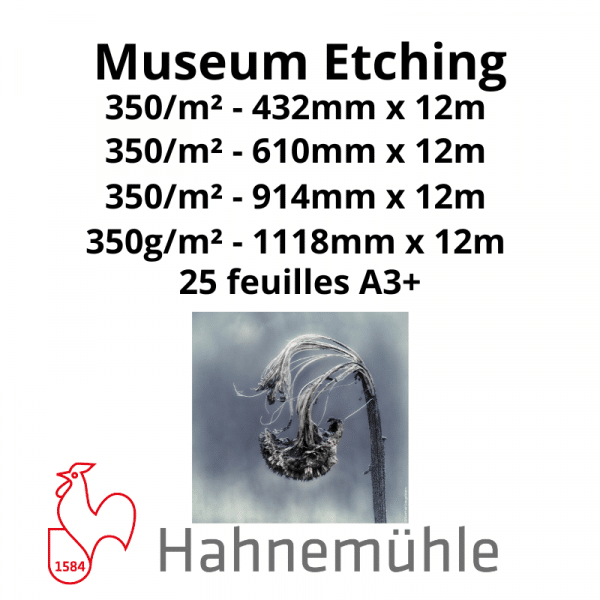 Papier Hahnemühle Museum Etching