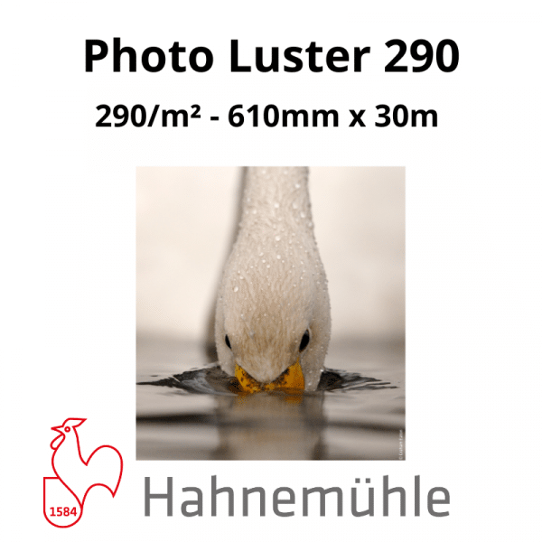 Papier Hahnemühle Photo Luster 290 – Image 3
