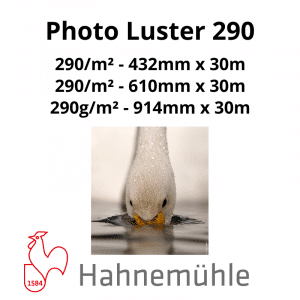 Papier Hahnemühle Photo Luster 290