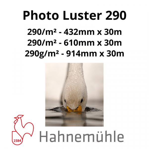 Papier Hahnemühle Photo Luster 290