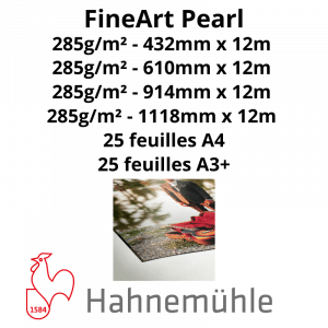 Papier Hahnemühle FineArt Pearl