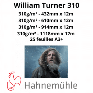 Papier Hahnemühle William Turner 310